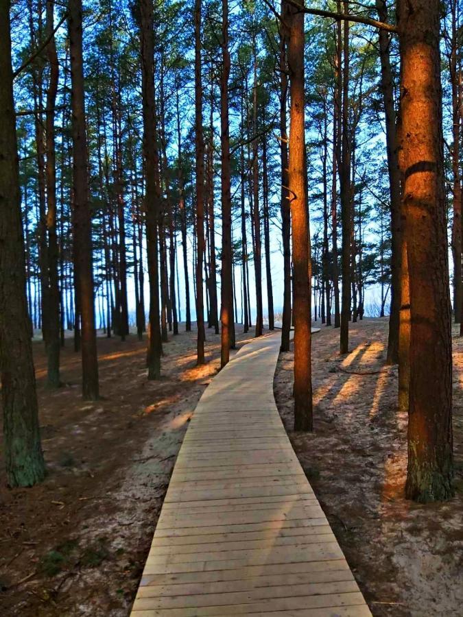 Zalia Kopa Apartment Palanga Bagian luar foto