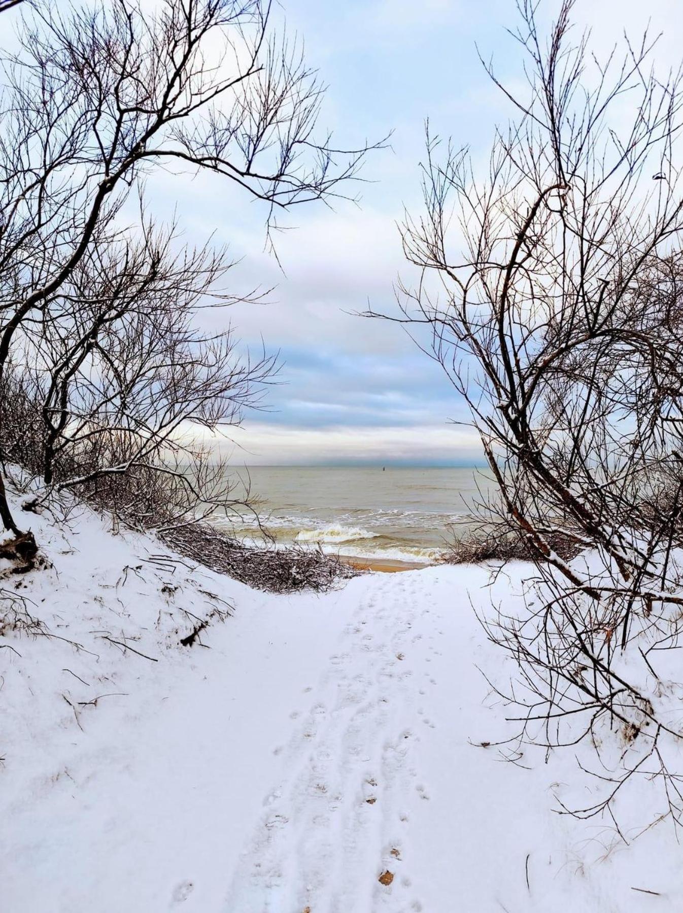 Zalia Kopa Apartment Palanga Bagian luar foto