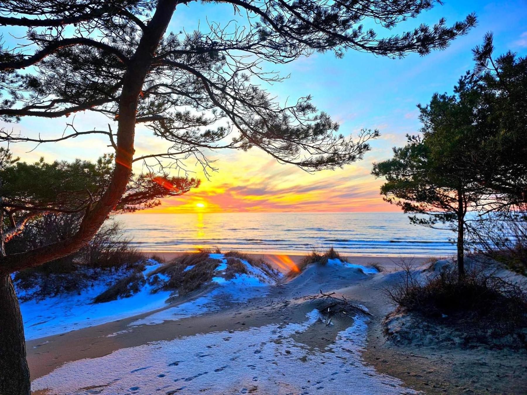 Zalia Kopa Apartment Palanga Bagian luar foto
